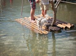 Детей на самодельном плоту унесло в Таганрогский залив