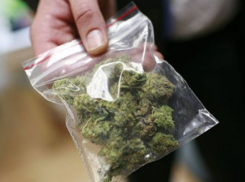 В Неклиновском районе у водителя рейсового автобуса изъяли более 2,5 килограммов марихуаны