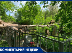 «Как можно говорить о почитании предков, если на кладбищах Ростова творится такое безобразие?» – эксперт регионального ОНФ  