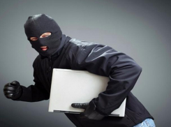 Электронную технику и гипсовые скульптуры украл из частного дома житель Ростовской области