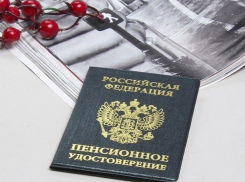 Губернатор Ростовской области решил сохранить региональные льготы по возрасту до выхода на пенсию