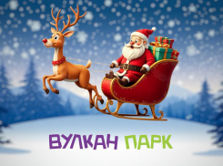 УСЛУГА ДНЯ: Анимация от Вулкан Парка на дому