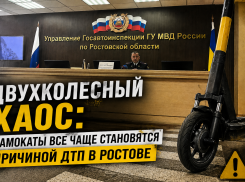 Двухколесный хаос: самокаты все чаще становятся причиной ДТП в Ростове