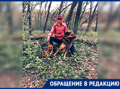 В Ростове бойцовские собаки напали на женщину и ее питомца