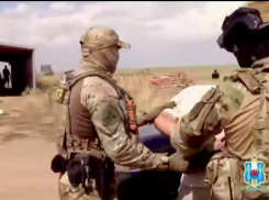 В Ростовской области задержали экстремиста и водителя с поддельными документами 