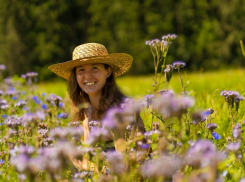 Жара до +36° ожидается в Ростовской области 19 июля