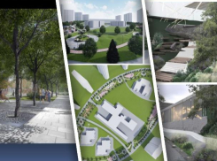 Власти Ростова назвали окончательный список новых пешеходных зон