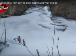 В Щепкинском лесу обнаружили ручей, покрытый пеной