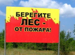 Несмотря на похолодание, МЧС предупреждает о чрезвычайной пожароопасности в Ростовской области