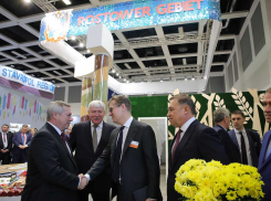 Ростовская область развлекает немцев выставкой за 16 млн рублей