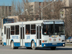 Поскользнувшегося на ступеньке пассажира обматерил водитель маршрутного автобуса в Ростове