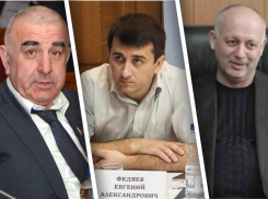 Депутата заксобрания Ростовской области обвинили в «дешевом хайпе» на проблемах региона