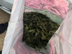 В Ростовской области задержали мужчину с розовым пакетом ‭«травы» 