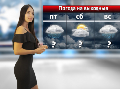 На выходных в Ростовской области ожидаются дожди с грозами