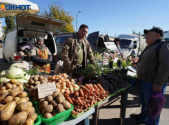 В Ростовской области резко подоражал картофель из-за дорогих удобрений