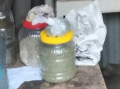 В Сальске у пенсионера изъяли более 230 граммов марихуаны