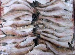 В детском саду станицы Боковской детей хотели накормить рыбой без документов