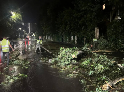 В Ростове во время урагана погиб один человек
