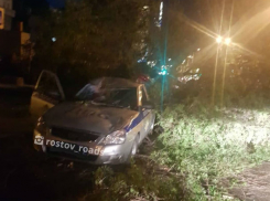 В Ростове дерево раздавило машину ДПС