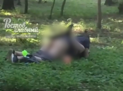 Секс ростовской парочки в парке Островского попал на видео