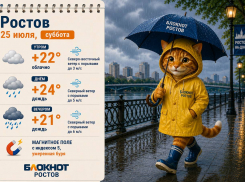 Дожди и магнитная буря ожидаются в Ростове 25 июля