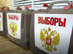 На выборы в Ростовской области пришли 1,5 миллиона: явка составила 43%