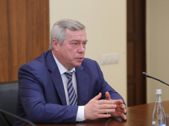 Ростовчане рассказали Василию Голубеву, как улучшить ситуацию с безопасностью на дорогах