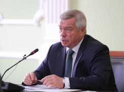 Василий Голубев озвучил срочные задачи глав муниципалитетов