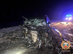 Пассажир погиб в лобовом ДТП на трассе Ростов — Ставрополь