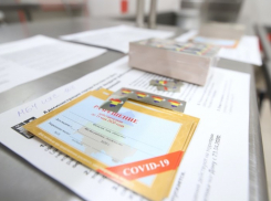 Жителя Ростова оштрафовали за продажу спецпропусков