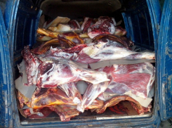 Опасная украинская говядина попыталась «пробраться» на прилавки магазинов Ростовской области