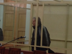 В Ростове огласили приговор убийце и насильнику 9-летней девочки из Красного Сулина 