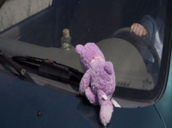 Годовалого ребенка водитель иномарки сбил на зебре в Ростове