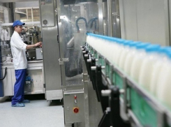 В России вступает в силу запрет на ввоз молочной продукции с Украины