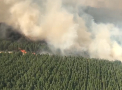 Пламя пожара в Белокалитвенском районе перекинулось на дома