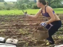 Горячий Kiki Challenge ростовчанки с ведром и картошкой «взорвал» соцсети