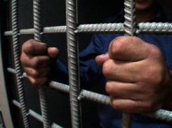 Изнасиловавший и задушивший девятилетнюю девушку мужчина признал свою вину в Ростовской области