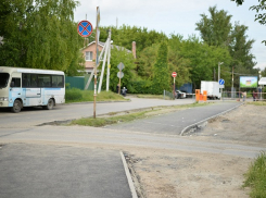 Дорогу к зверям и гадам в Ростове закатали в асфальт