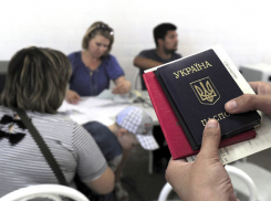 В Ростовской области нашли работу для 10 тысяч беженцев с Украины 