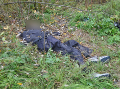 Труп страдающего адскими мигренями мужчины обнаружили в лесу Ростовской области