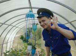 Жителям Ростова показали, как сделать экологичные «лунки» для зелени