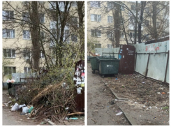 После публикации «Блокнот Ростов» в Александровке убрали свалку возле контейнерной площадки 