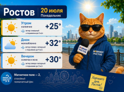 Аномальная жара до +32 градусов придет в Ростов в понедельник 20 июля