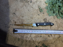 В Ростовской области 24-летнего парня убили одним ударом ножа