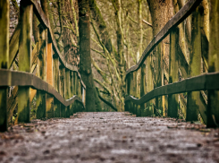 В Ростовской области прокуроры обязали районную администрацию отремонтировать мост