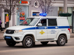 Полиция проводит проверку после сообщений о драке после взрыва петарды в Ростовской области