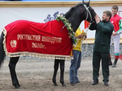 Конники Дона обратились к Рамзану Кадырову с просьбой вмешаться в ситуацию с ипподромом 