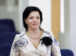 Новым начальником управления культуры Ростова-на-Дону стала Елена Жихарцева