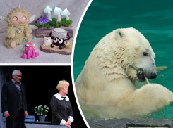 В Ростове встретят весну с белыми медведями, музыкой Бетховена и волшебной ярмаркой