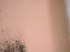 Наспех подремонтированную офисную «заброшку» отдали под жилье сиротам в Ростовской области